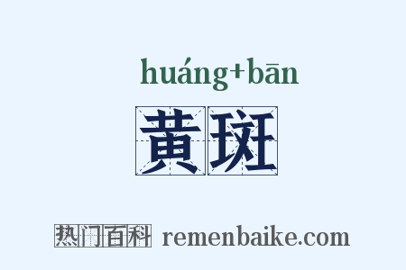 黄斑是什么意思的图片
